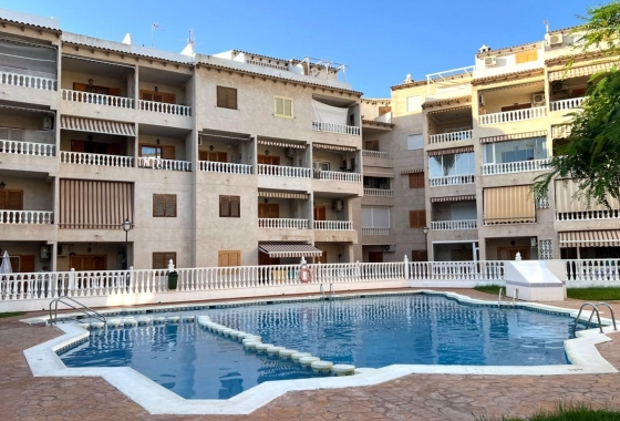 Reventa - Apartamento / piso - Torrevieja - Playa de los Locos