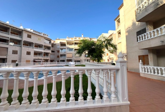 Reventa - Apartamento / piso - Torrevieja - Playa de los Locos