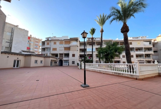 Reventa - Apartamento / piso - Torrevieja - Playa de los Locos