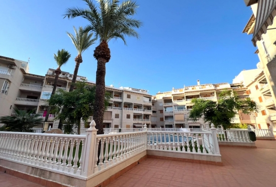 Reventa - Apartamento / piso - Torrevieja - Playa de los Locos