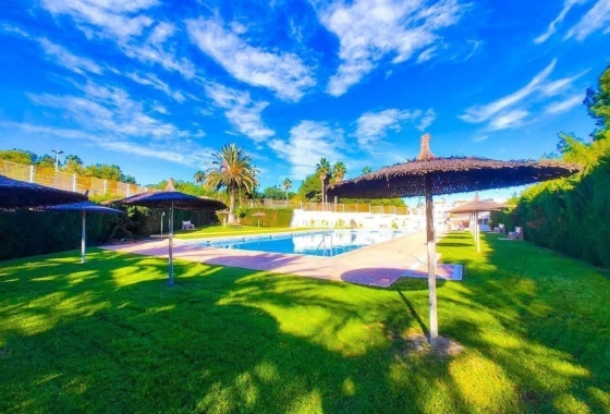 Herverkoop - Penthouse - Torrevieja - Calas Blanca