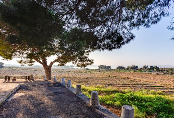 Herverkoop - Bungalow - Torrevieja - La Siesta - El Salado - Torreta