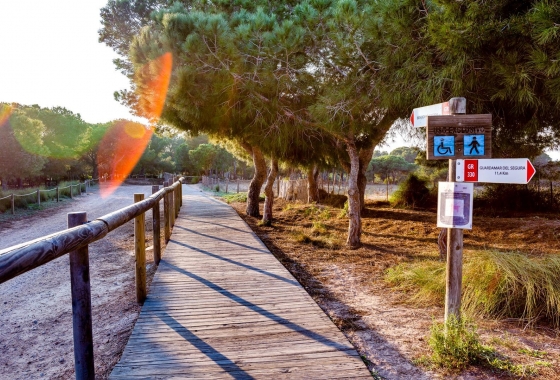 Herverkoop - Bungalow - Torrevieja - La Siesta - El Salado - Torreta