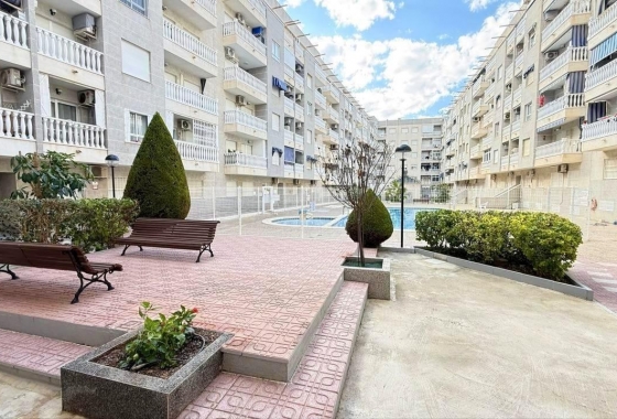 Herverkoop - Appartement / flat - Torrevieja - Playa del Cura