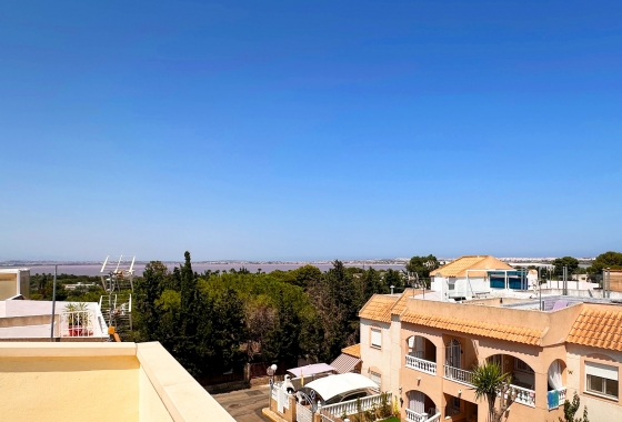 Wiederverkauf - Bungalow - Torrevieja - Costa Blanca
