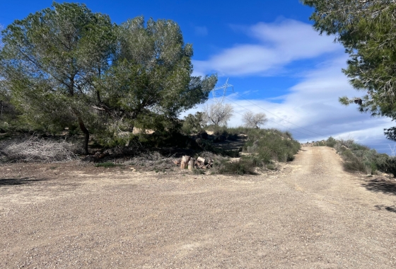 Herverkoop - Finca - Torremendo - Costa Blanca
