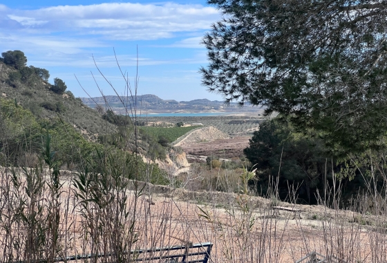 Herverkoop - Finca - Torremendo - Costa Blanca