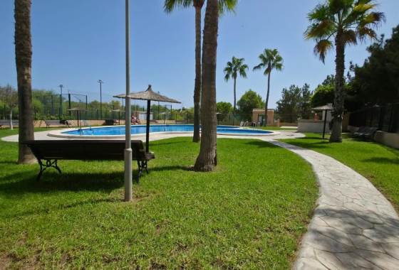 Reventa - Bungalow - Torrevieja - Los Balcones - Los Altos del Edén