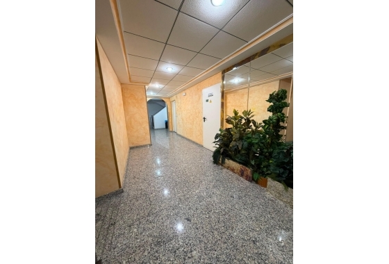 Herverkoop - Appartement / flat - Torrevieja - Estacion De Autobuses