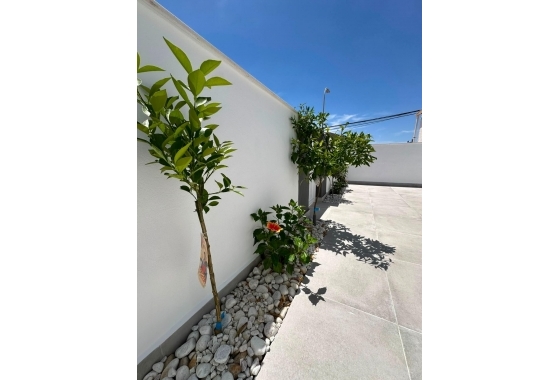 Herverkoop - Bungalow - Torrevieja - La Siesta - El Salado - Torreta