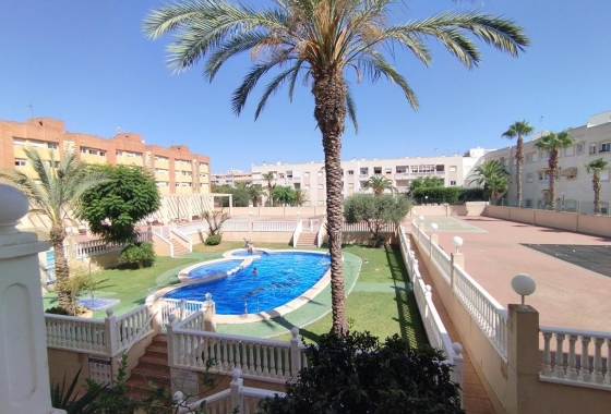 Herverkoop - Appartement / flat - Torrevieja - DIEGO RAMIREZ LA LOMA