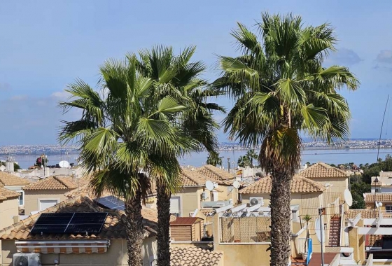 Herverkoop - Appartement / flat - Torrevieja - Costa Blanca