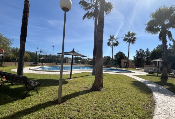 Herverkoop - Appartement / flat - Torrevieja - Costa Blanca