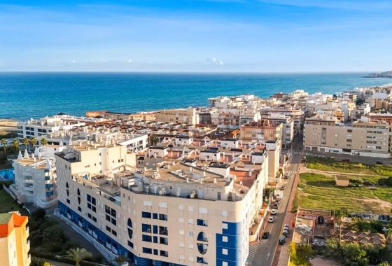 Herverkoop - Appartement / flat - Torrevieja - Gaspar Perrelló