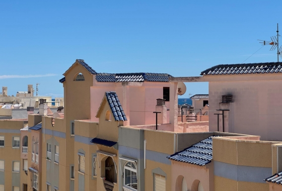 Herverkoop - Appartement / flat - Torrevieja - Gaspar Perrelló