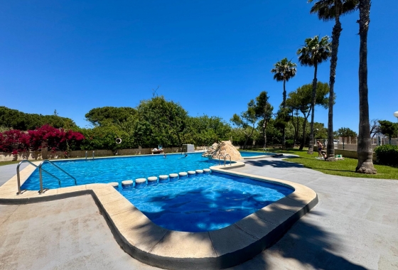 Herverkoop - Appartement / flat - Torrevieja - Gaspar Perrelló
