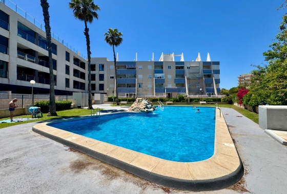 Herverkoop - Appartement / flat - Torrevieja - Gaspar Perrelló