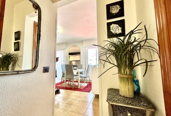 Herverkoop - Appartement / flat - Torrevieja - Costa Blanca