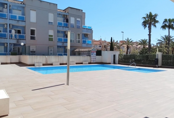 Herverkoop - Appartement / flat - Torrevieja - Estacion De Autobuses