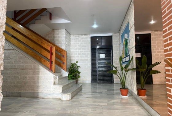 Herverkoop - Appartement / flat - Torrevieja - Centro