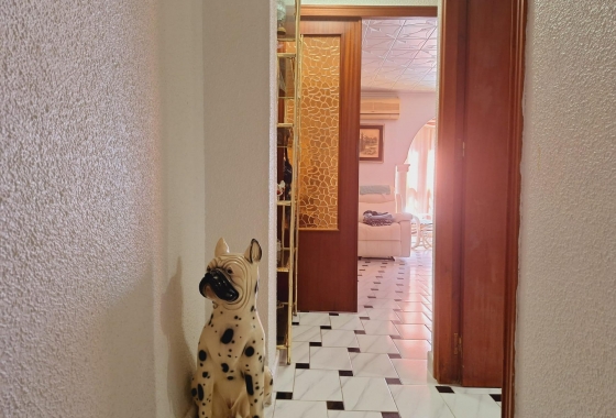 Herverkoop - Appartement / flat - Torrevieja - Acequion