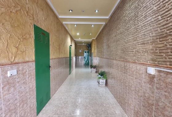 Herverkoop - Appartement / flat - Torrevieja - Acequion