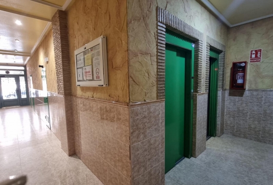 Herverkoop - Appartement / flat - Torrevieja - Acequion