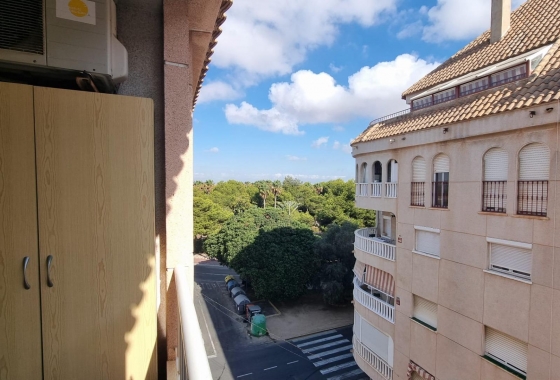 Herverkoop - Appartement / flat - Torrevieja - Acequion