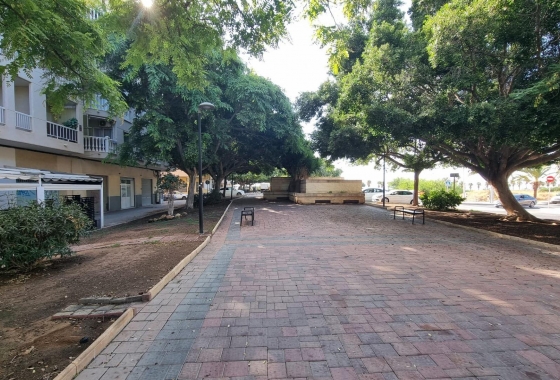 Herverkoop - Appartement / flat - Torrevieja - Acequion