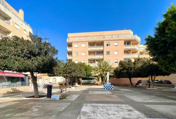Herverkoop - Appartement / flat - Torrevieja - Centro