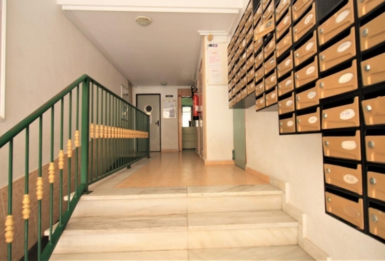 Herverkoop - Appartement / flat - Torrevieja - Centro
