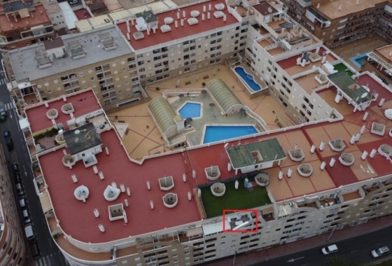 Herverkoop - Appartement / flat - Torrevieja - Costa Blanca