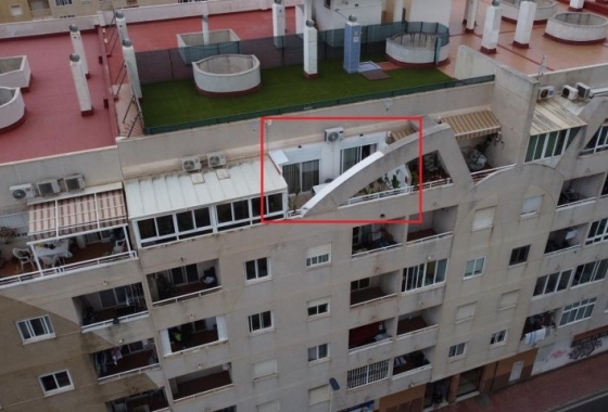 Herverkoop - Appartement / flat - Torrevieja - Costa Blanca