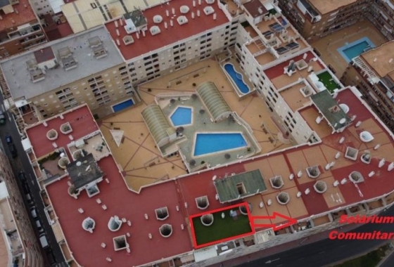 Herverkoop - Appartement / flat - Torrevieja - Costa Blanca