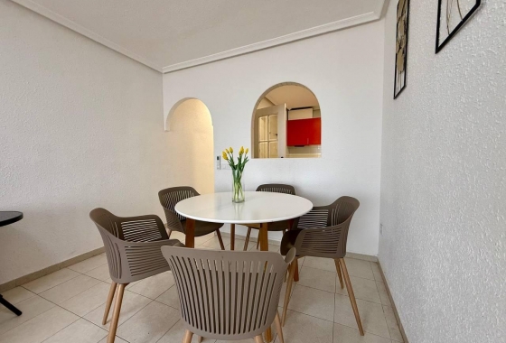Herverkoop - Appartement / flat - Torrevieja - Acequion