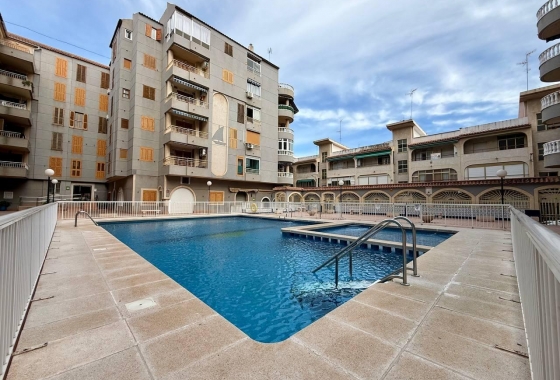 Herverkoop - Appartement / flat - Torrevieja - Acequion