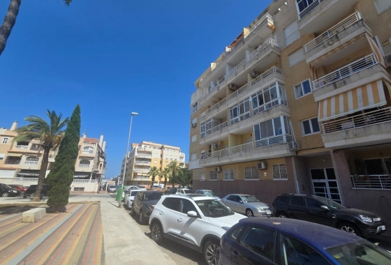 Herverkoop - Appartement / flat - Torrevieja - Habaneras