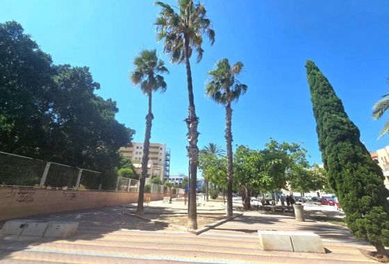 Herverkoop - Appartement / flat - Torrevieja - Habaneras