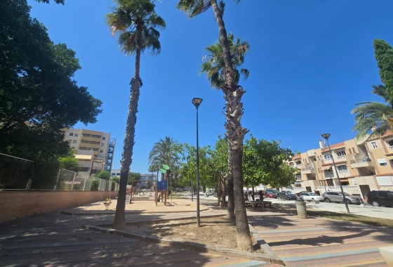 Herverkoop - Appartement / flat - Torrevieja - Habaneras