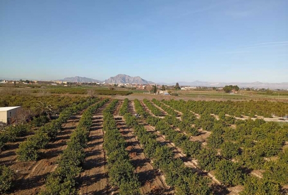 Herverkoop - Appartement / flat - Daya Nueva - Costa Blanca