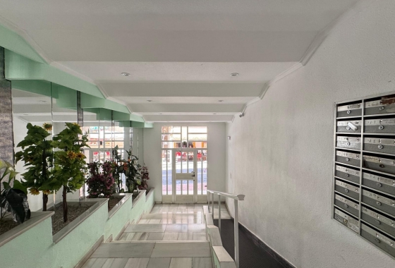 Herverkoop - Appartement / flat - Torrevieja - Playa del Cura