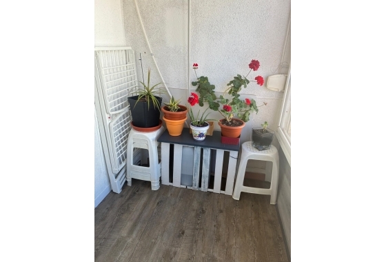 Herverkoop - Appartement / flat - Torrevieja - Centro
