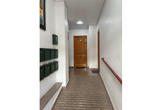 Herverkoop - Appartement / flat - Torrevieja - Centro