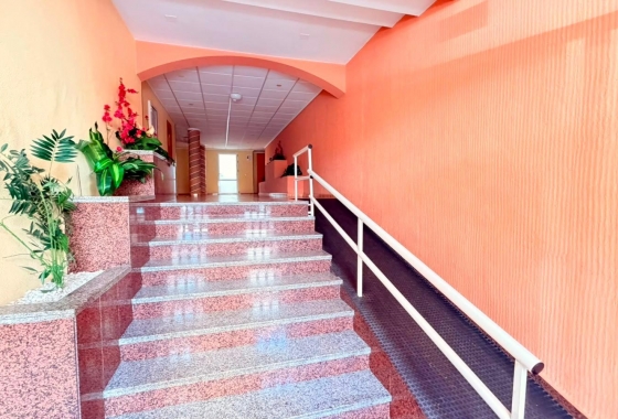 Herverkoop - Appartement / flat - Torrevieja - Playa del Cura