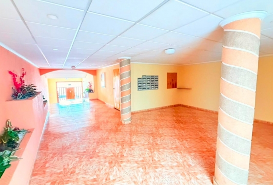 Herverkoop - Appartement / flat - Torrevieja - Playa del Cura
