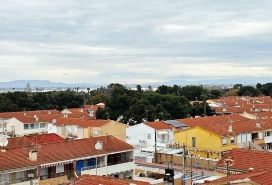 Herverkoop - Appartement / flat - Torrevieja - Playa De Los Naufragos