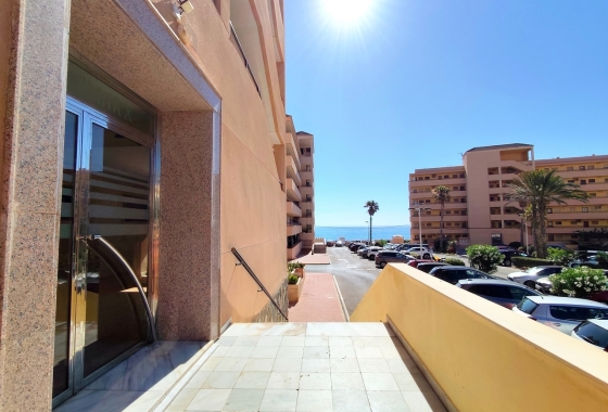 Herverkoop - Appartement / flat - Torrevieja - Costa Blanca