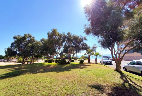 Herverkoop - Appartement / flat - Torrevieja - Costa Blanca