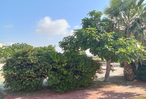 Herverkoop - Bungalow - Torrevieja - Torretas