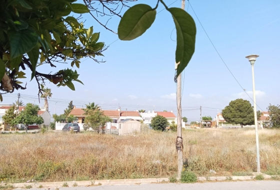 Herverkoop - Bungalow - Torrevieja - Torretas